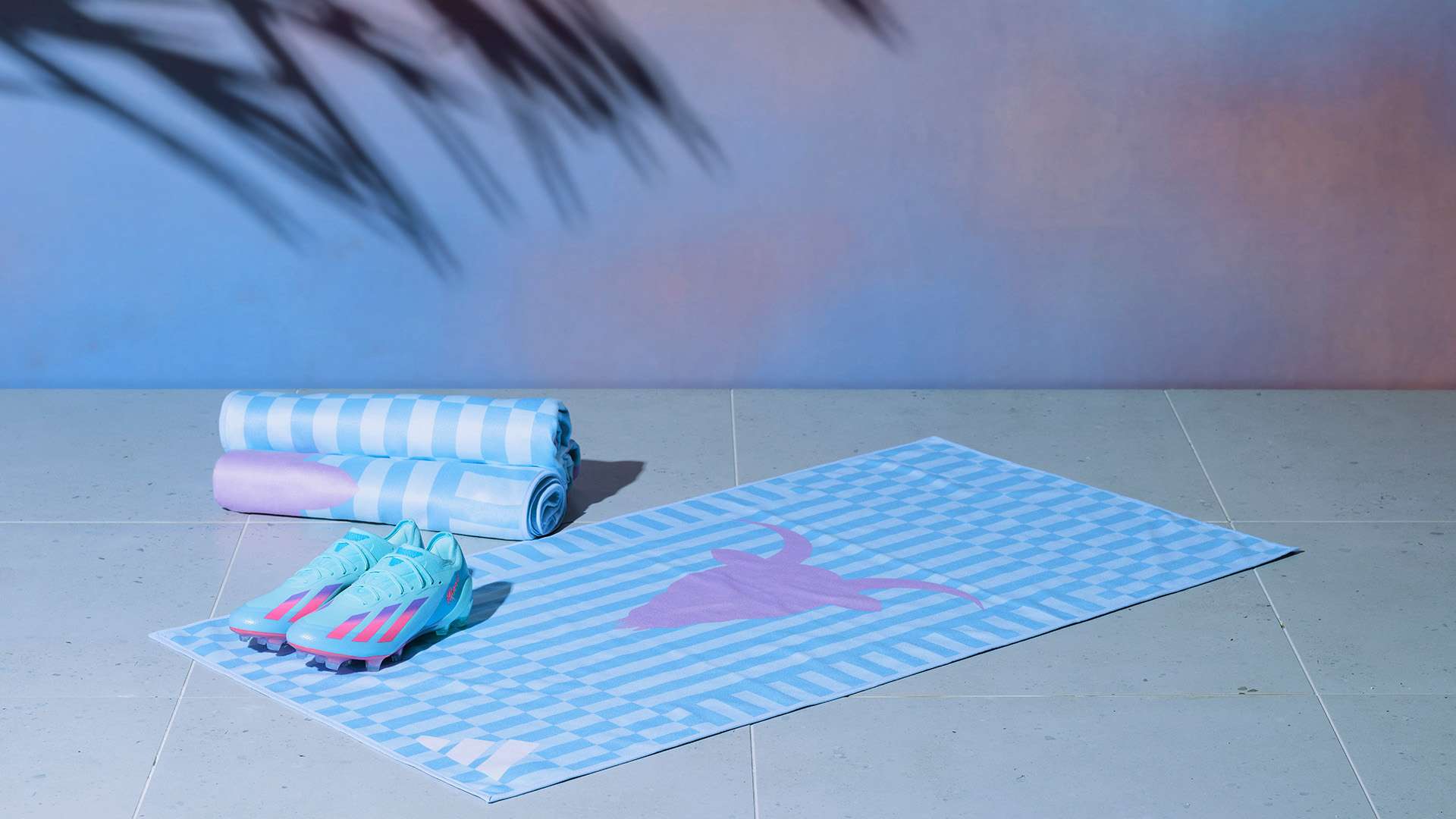 这一成功也 这一成功也