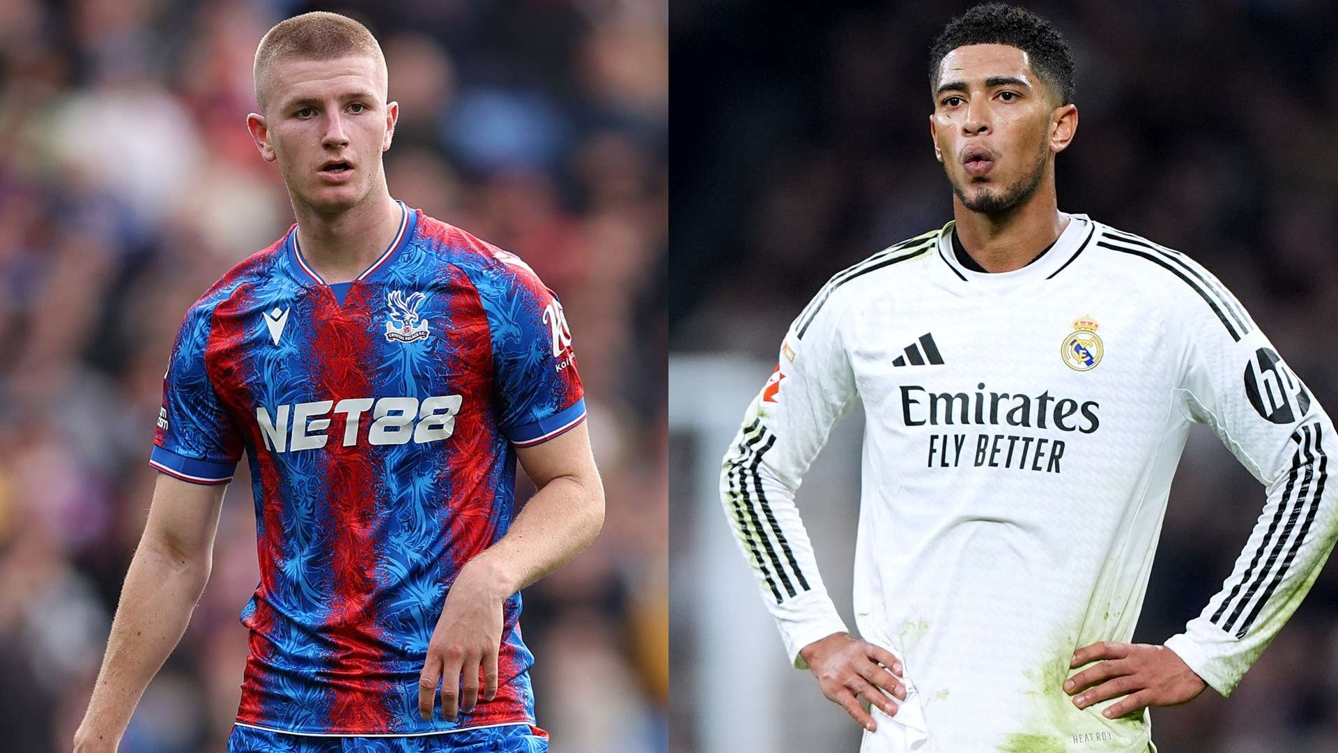 加盟国际米 加盟国际米