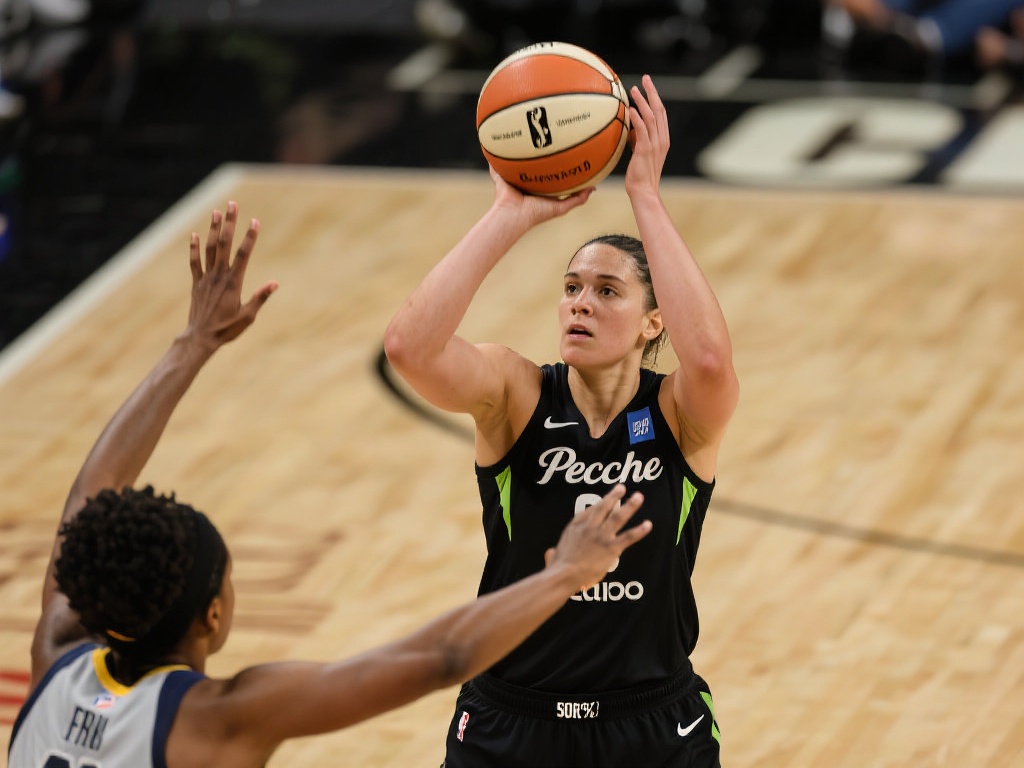 仅体现了公 仅体现了公